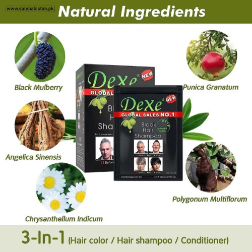 Dexe Black Hair Color Shampoo
