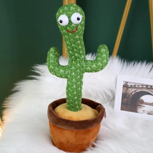 Cactus Talking Toy Price In Pakistan