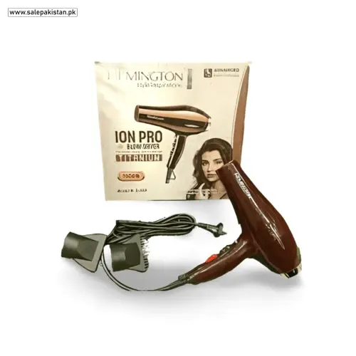 Ion Pro Blow Dryer Titanium